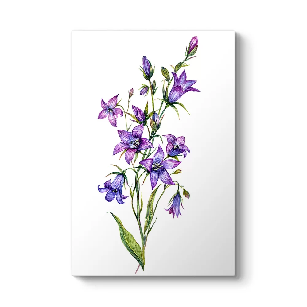 Bluebell Çiçeği Kanvas Tablo - Model 2